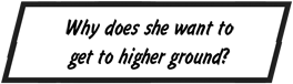 Why does she want to get to higher ground?